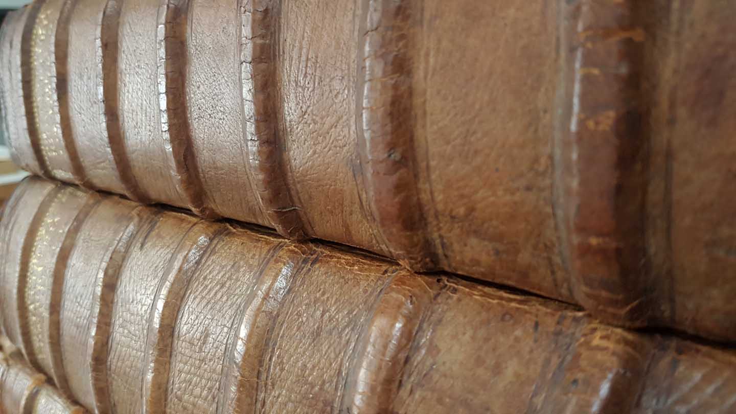 Unsplashed background img 3